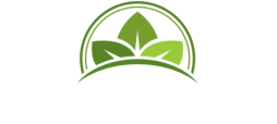 Shree Balaji Chemicals